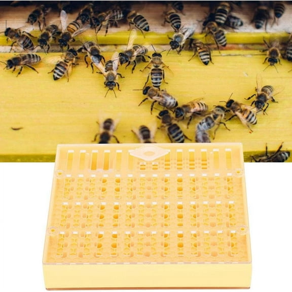Queen Rearing Cell Bar Blocks Caps, Plastic Beekeeping Queen Rearing Cups Box, Beekeeping Bee Grafting Kit, with Queen Rearing System Equipment Tools, Beekeeping Grafting Tool Supplies