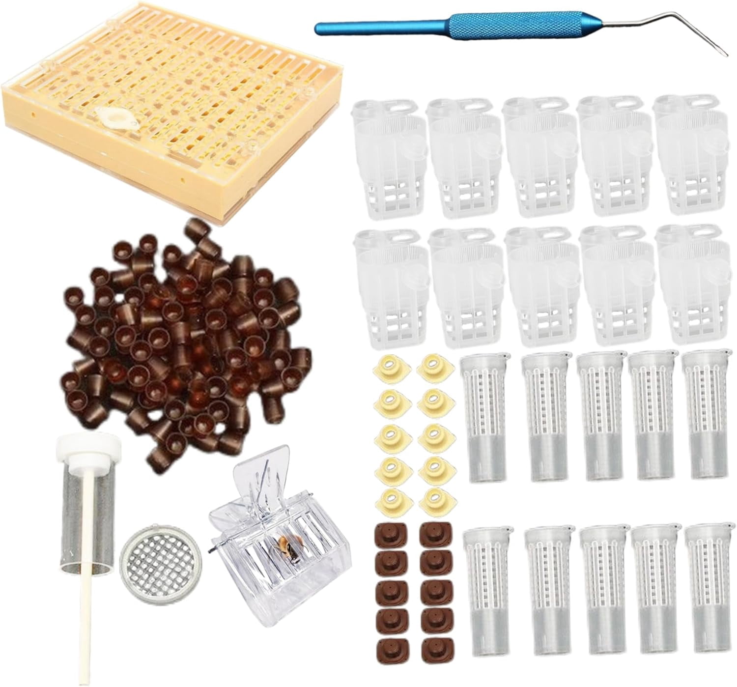 Queen Rearing Kit for Beekeepers - Complete Starter Set with Box, Cell ...