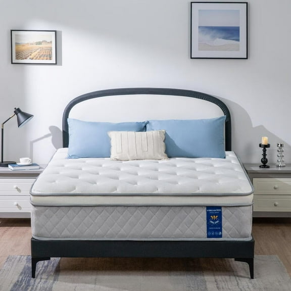 Queen Rose 14'' Medium Hybrid Last Foam Mattress in a Box,Twin