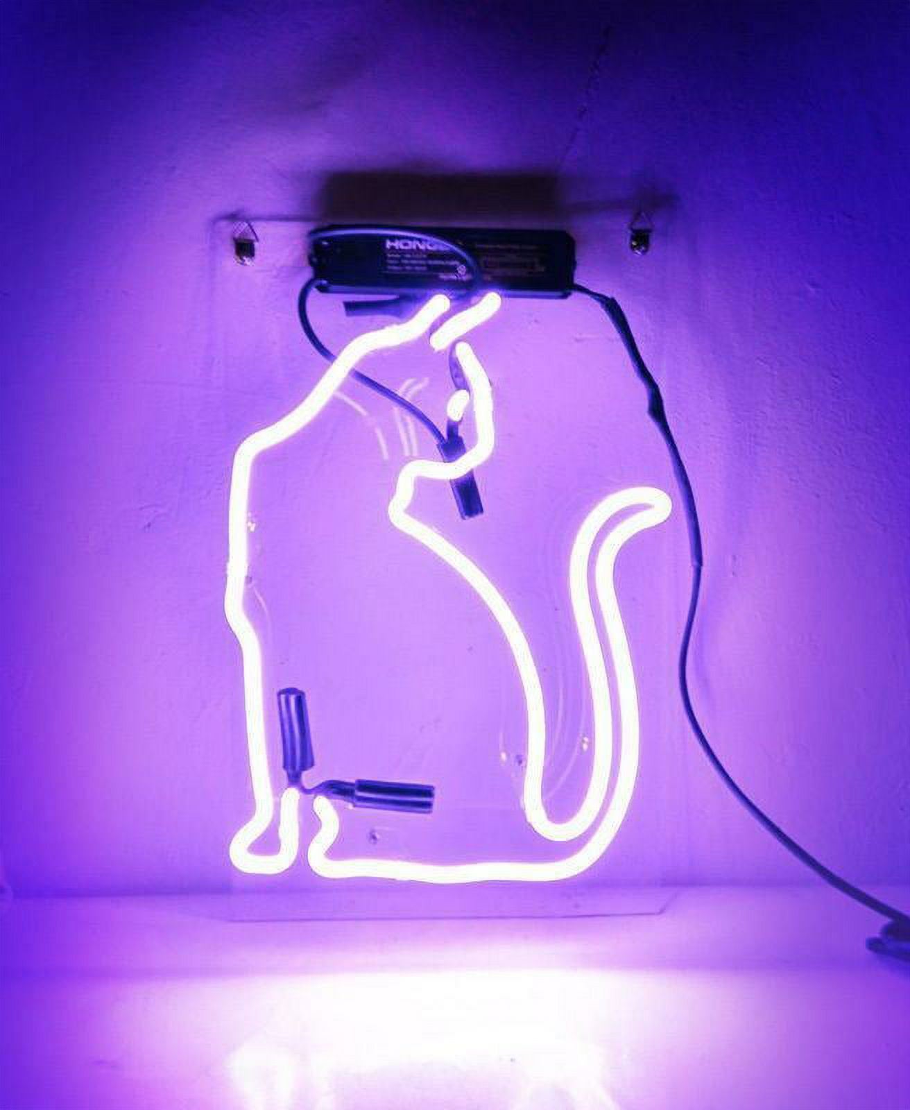 Queen Sense 14" Pussy Cat Neon Sign Acrylic Man Cave Handmade Neon Light 114PCAV3