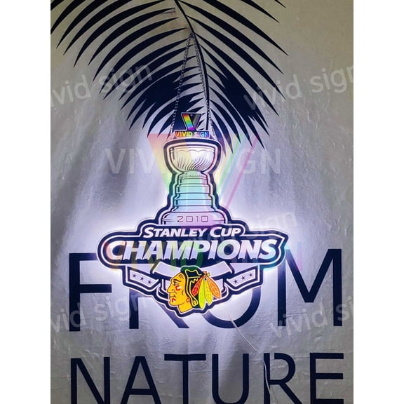 Queen Sense 17" For Chicagos Sports Team Blackhawks 2010 Champions 3D LED Sign Light Vivid Printing Tech Design Beer Bar Pub Decor Lamp 117CBHY10SCCLED3D