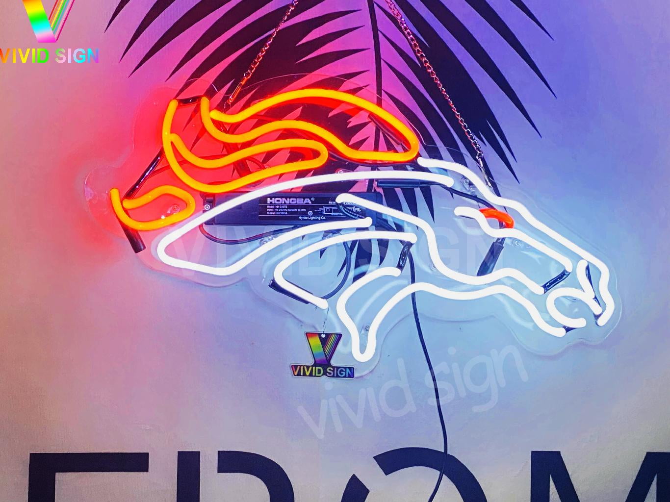 Queen Sense 20" For Denvers Sports Team Broncos Neon Sign Acrylic Man Cave Handmade Neon Light 120DBLA2