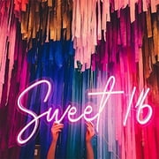 Queen Sense 20x11 Sweet 16 LED Sign Light Wall Decor Party Night Lights Flex Neon Signs 120S16FLED