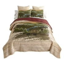 Donna Sharp Allegheny 3PC UCC Queen Quilt Set