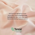 thumbnail image 1 of Queen Size 20" x 27" Pillow Covers Hairs Best Friend – DeepSleep Tech Soft & Silky 100% Tencel Lyocell – LabTested Cool Pillowcases Pack of 2 – Playroom Playroom Queen (20" x 27"), 1 of 3