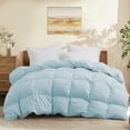 thumbnail image 1 of Queen Size Down Comforter - All Season Ultra Soft Goose Down & Feather Fiber Fill, Luxury Hotel Pink Duvet Insert with Corner Tabs (88" X 88"), 1 of 5