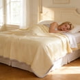 thumbnail image 1 of Queen Size Ice Silk Comforter Lightweight Breathable Washable Solid Color Summer for Hot Sleepers Night Sweats, 1 of 6