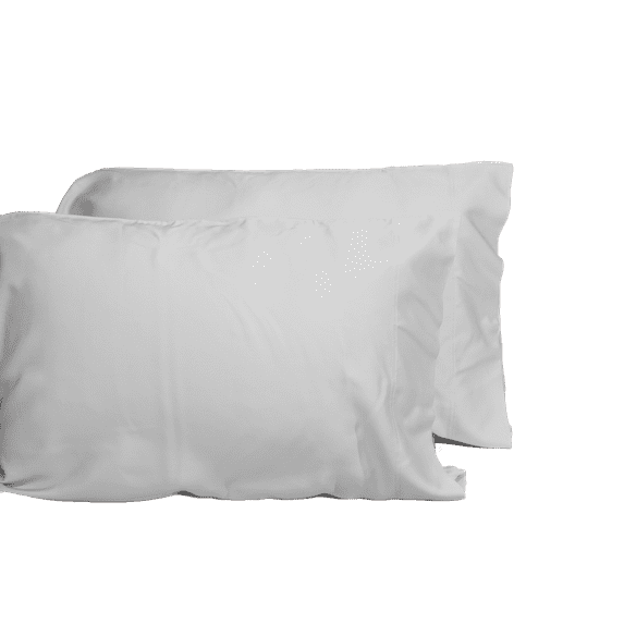 Queen Size 2 Piece Luxurious Pillowcase Set for Women & Men, Oeko-TEX Certified, Silver Grey