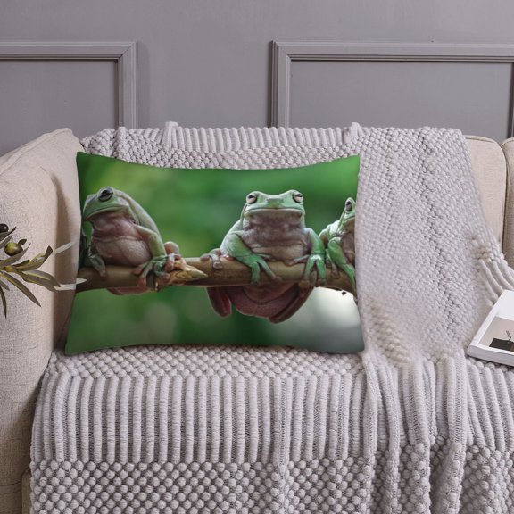 Queen Size Pillows Cases Standard Size 20x26 In - Australian White Tree Frog Branch Soft Comfort Envelope Closure Pillowcases Standard