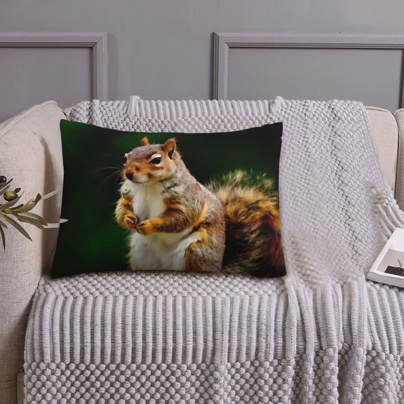 Queen Size Pillows Cases Standard Size 20x26 In - Squirrels Eating Peanuts On The Tree Soft Comfort Envelope Closure Pillowcases Standard