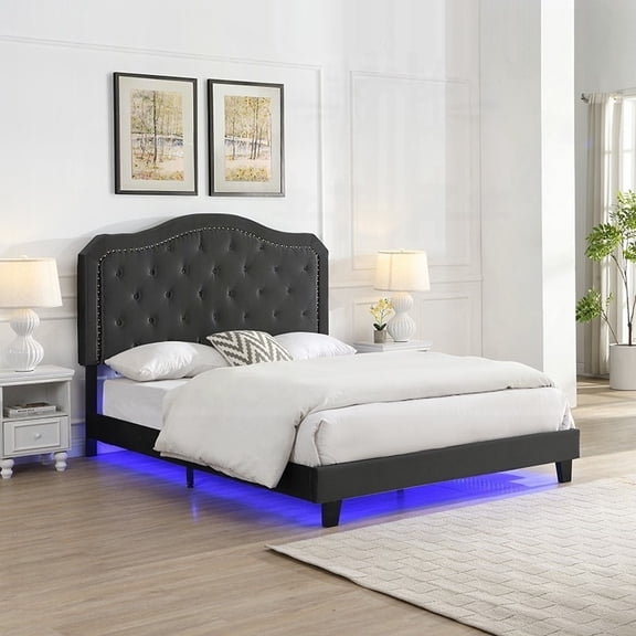 Queen Upholstered Bed Featuring Curve Design and Button Tufting - Strong Wood Slat Foundation - Easy Setup - Black Velvet - Under-Bed LED Lights