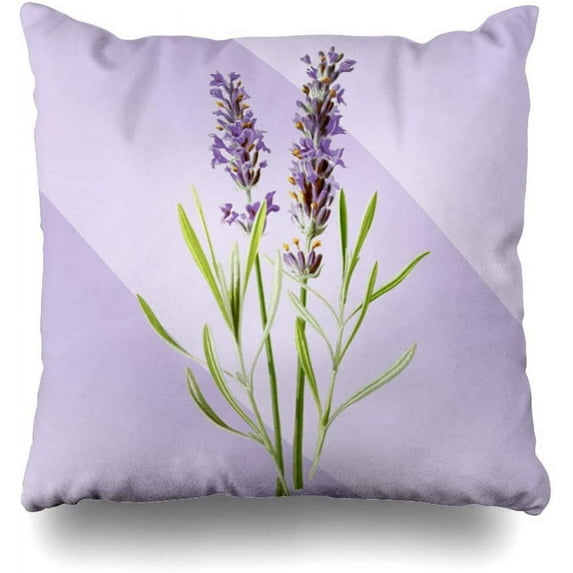 Queen's designer Decorative Cushion Pillows Case, 16" X 16" Lavender Pattern Home Decor Indoor Throw Pillow Cover Cases Sofa Bed Car Living Lavender Pattern