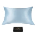 thumbnail image 1 of Queen-size 100% 6A 22 Momme Mulberry Silk Pillowcase, Zipper Closure, Sky Blue, 1 of 6