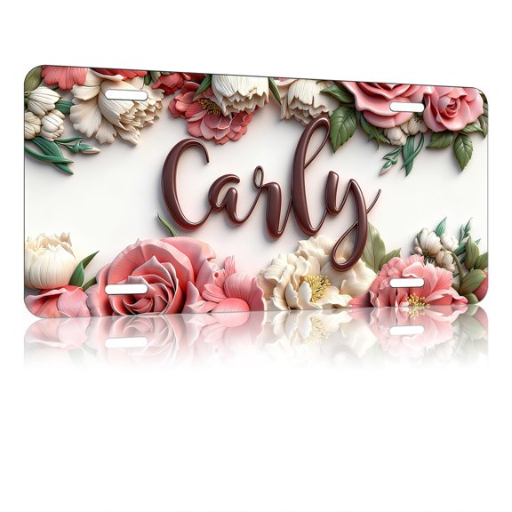Queen with Crown Metal License Plate - Novelty Vanity Tag for Women, Royalty Themed Auto & Wall Decor, 6x12 Inch