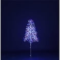 thumbnail image 1 of Queens of Christmas LED-TR3D04-LRWB 4 ft. Starburst LED Tree, Red, White & Blue, 1 of 1