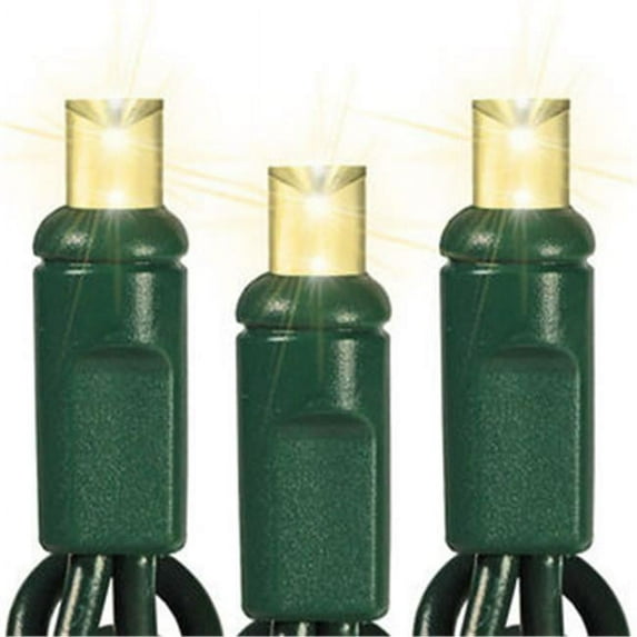 Queens of Christmas S-50MMWW-6G Warm White M5 LED Lights with 6 in. Spacing and Green Wire
