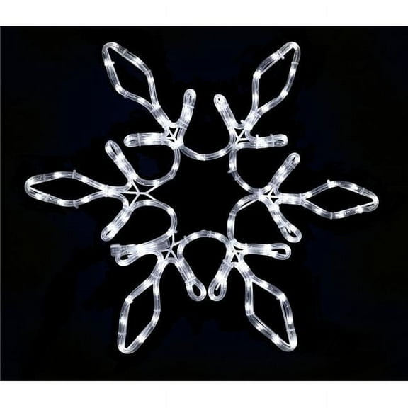 Queens of Christmas SF-SFSTAR-24-PW 24 in. LED Snowflake with Star in the Middle, Pure White