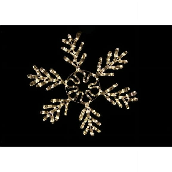 Queens of Christmas WL-SFICE-24-WW 24 in. Warm White Ropelit Snowflake Ice Light