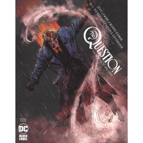 Question, The: The Deaths of Vic Sage #4 VF ; DC Comic Book