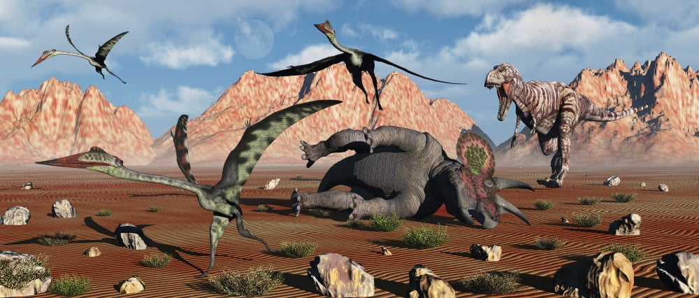Quetzalcoatlus flee as a Tyrannosaurus Rex comes to claim its meal Canvas Art - Mark StevensonStocktrek Images (22 x 10)