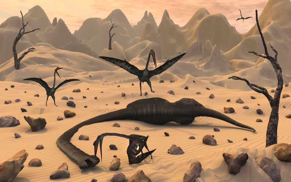 Quetzalcoatlus pterosaurs gather around the dead body of a young sauropod dinosaur Canvas Art - Mark StevensonStocktrek Images (36 x 23)