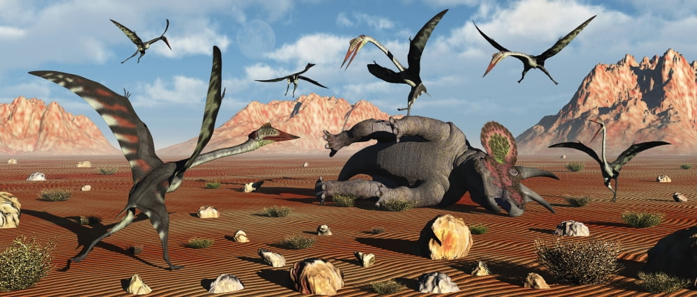 Quetzalcoatlus scavage at the remains of a dead ceratopsian dinosaur Canvas Art - Mark StevensonStocktrek Images (44 x 19)