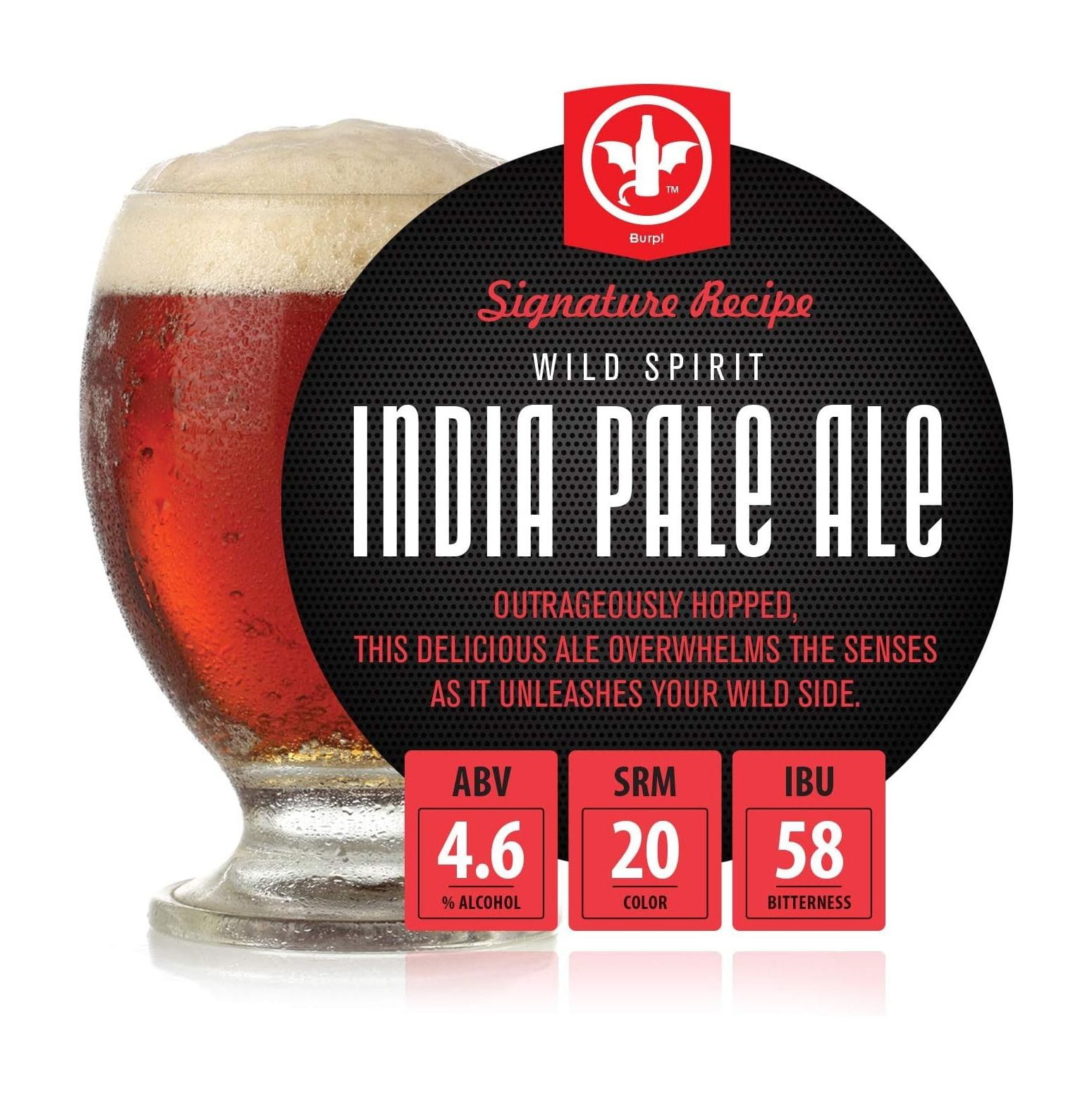 Quexis 2 Gal. Wild Spirit IPA Beer Recipe Kit Makes a WickedGood 4.6