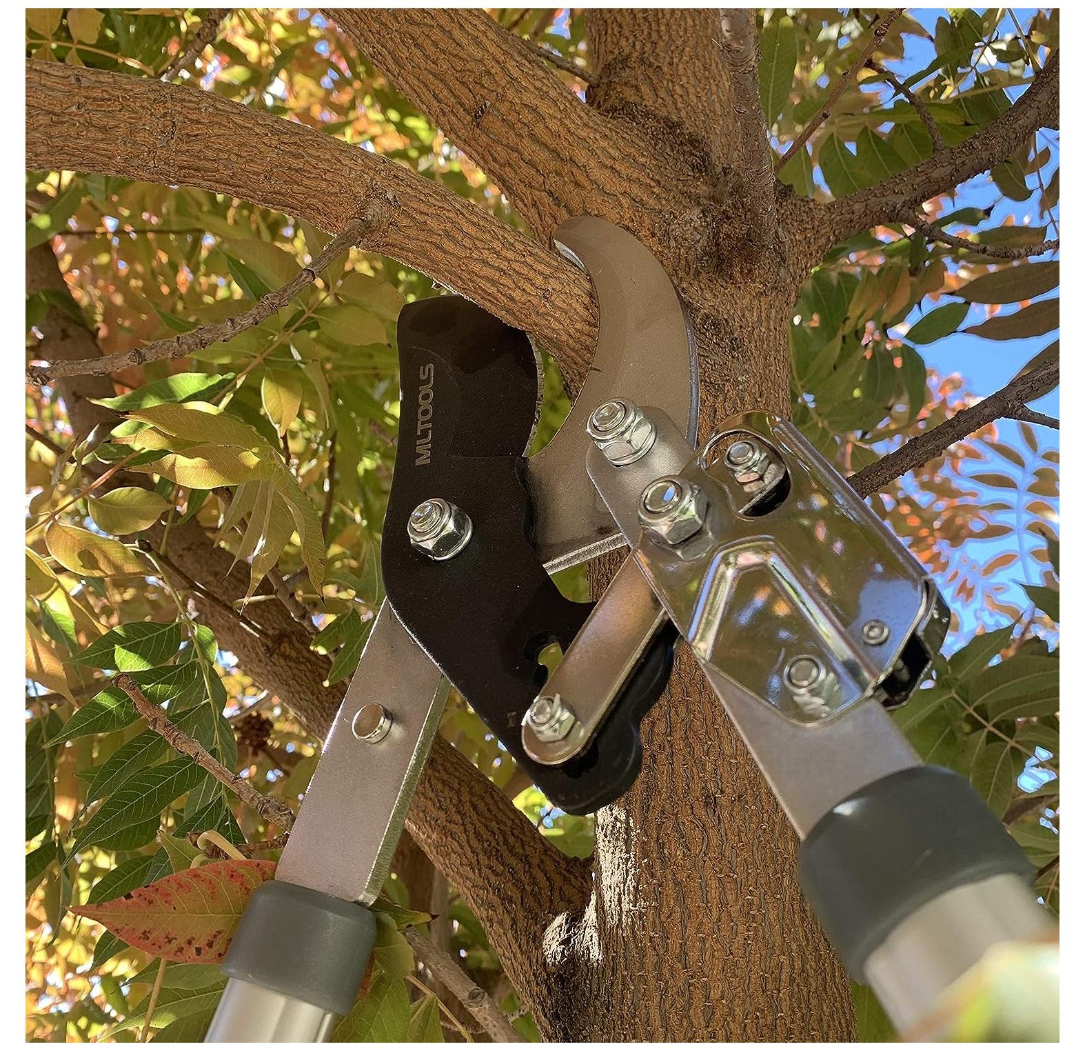 Quexis Ratcheting Extendable Bypass Lopper for Gardening Heavy Duty