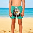 thumbnail image 1 of Quick Dry Boys Swim Shorts with Cartoon Bird Graphic Play Shorts for Kids Elastic Waist Beach Pool Casual Mint Green,Size 5 T, 1 of 9
