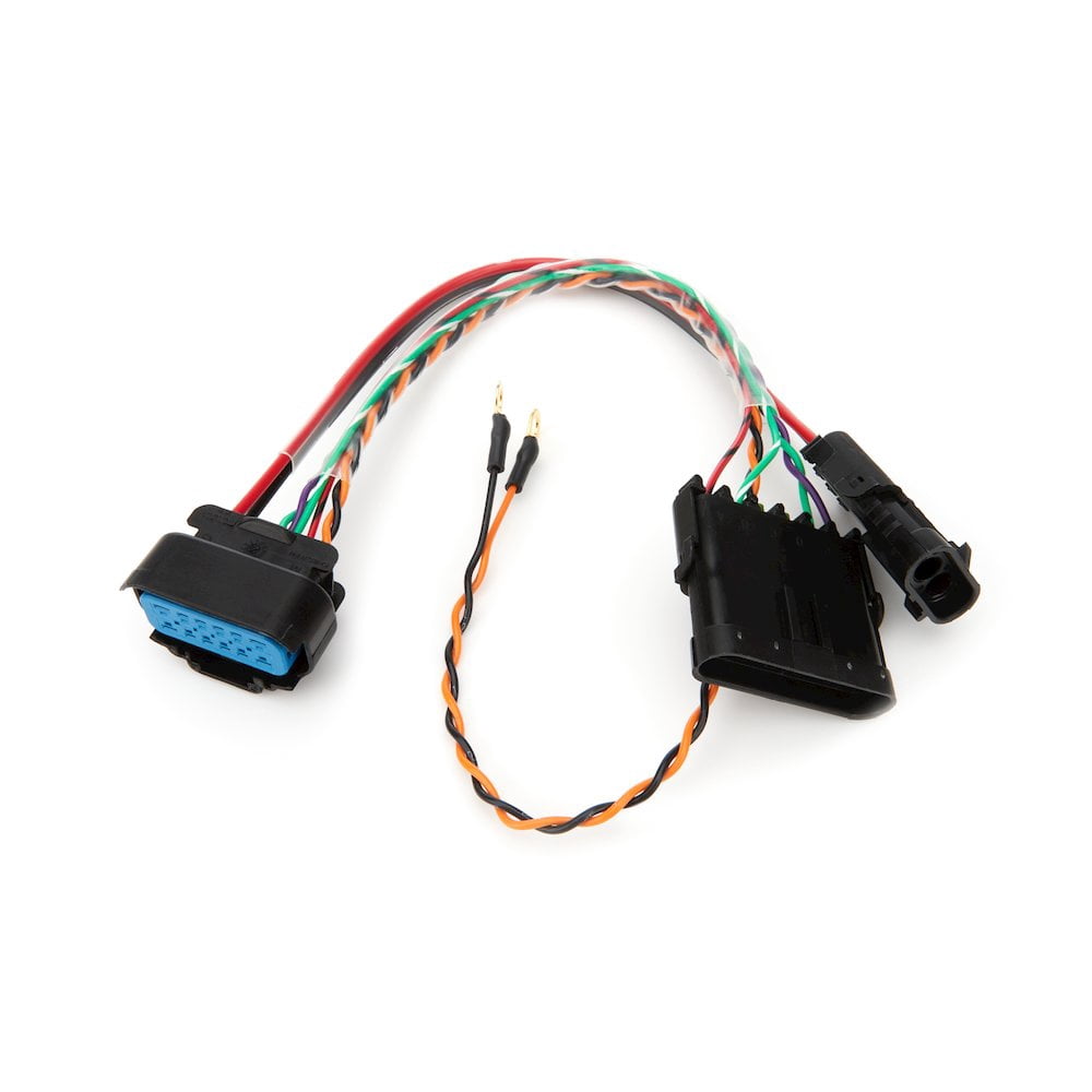 Quickcar Racing Products Harness Adapter MSD to 6 Pin Spec Harness