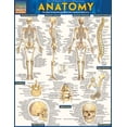 thumbnail image 1 of Anatomy Guide, 1 of 5