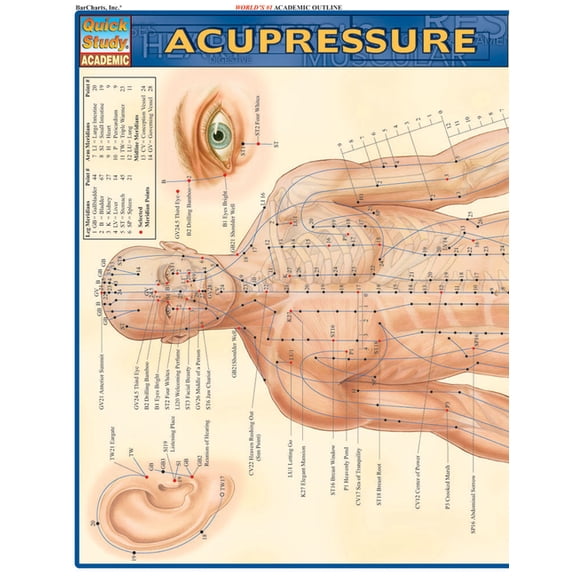 Quickstudy: Academic: Acupressure, Book 1 (Hardcover)