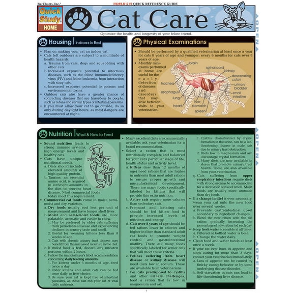 Quickstudy: Home: Cat Care (Other)