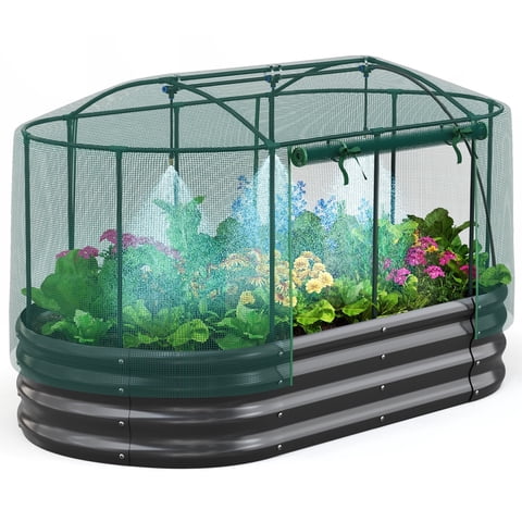 Quictent 6x3x1 ft Galvanized Raised Garden Bed Kit with Self Watering System and Mesh Cover, Large Oval Metal Outdoor Planter Garden Boxes for Vegetables Herbs Flowers