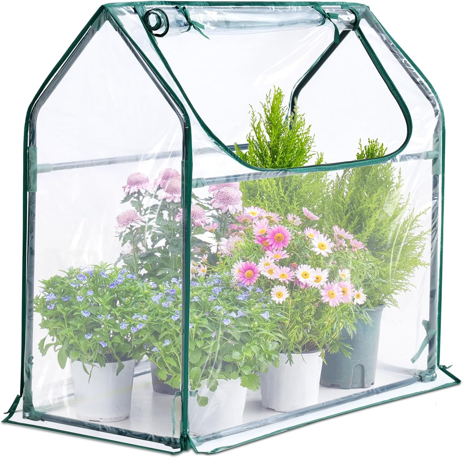 Free Shipping! Quictent Portable Mini Cloche Greenhouse w/ Elevated Bottom, Roll-up Zippered Window Waterproof UV-resistant Hot House for Indoor Outdoor Gaden (71"X36"X36")