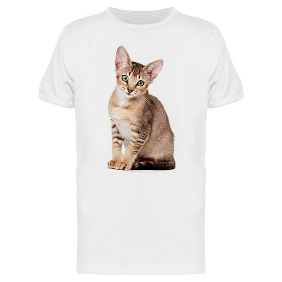 Quiet Abyssinian Kitten T-Shirt Men -Image by Shutterstock Men T-Shirt, Male Large