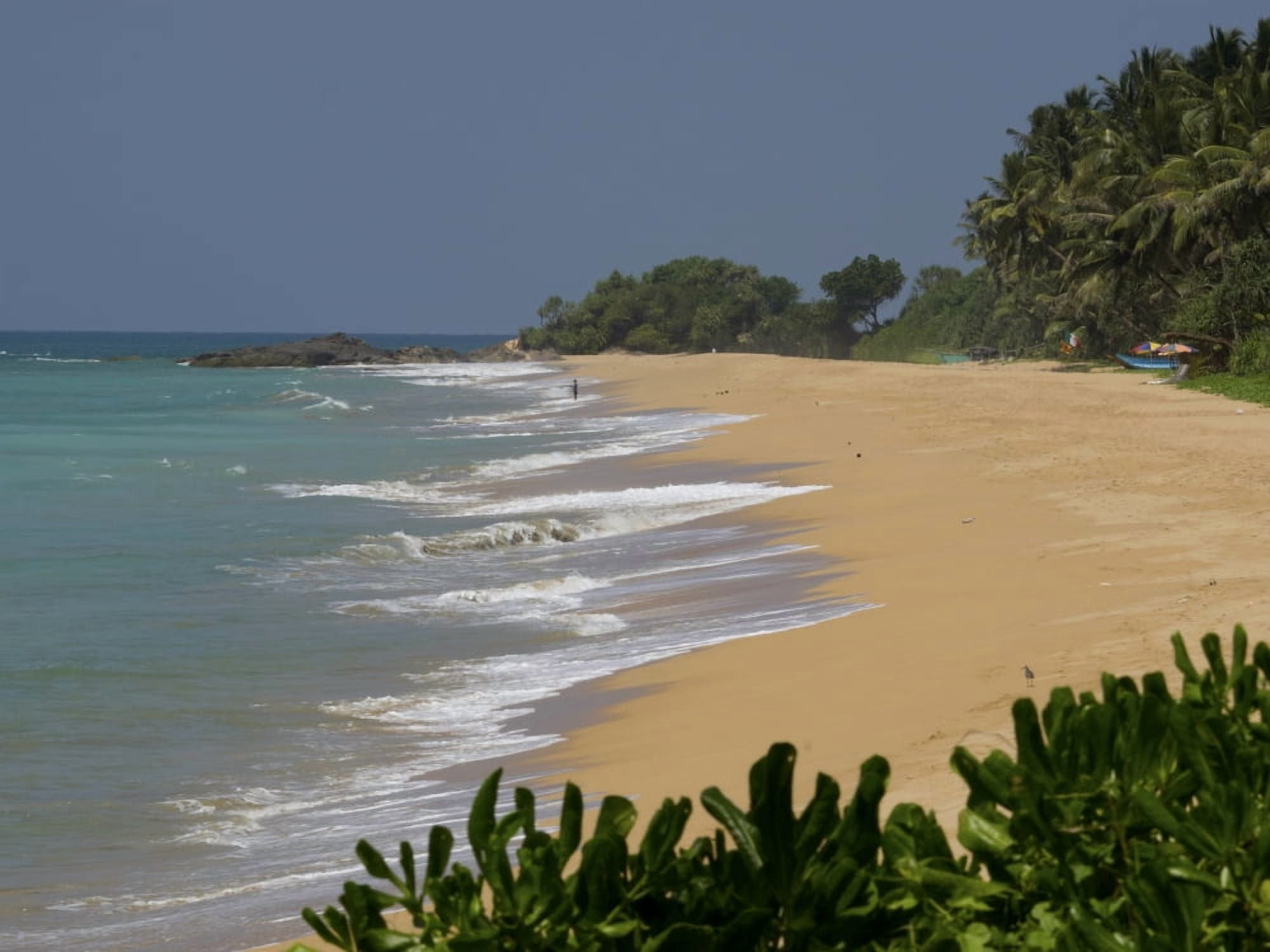 Quiet Beach along A2 road Betota Southern Province Sri Lanka Canvas Art - Panoramic Images (12 x 16)
