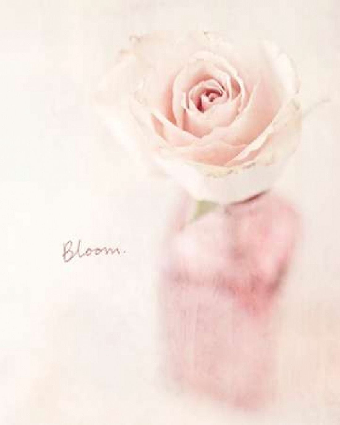Quiet Floral Setting 2 Canvas Art - Susannah Tucker Photography (20 x 24)