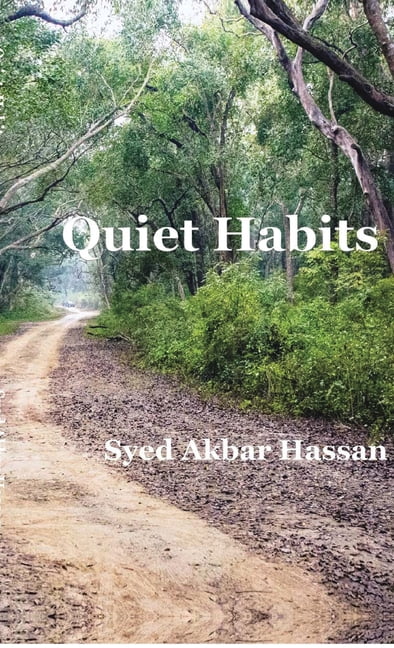 Quiet Habits: Stories of Ordinary Lives and Silent Transformations: Stories of Ordinary Lives and Silent Transformations, (Hardcover)