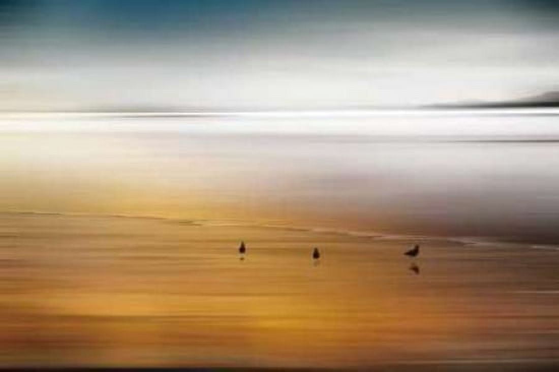 Quiet Invitation Canvas Art - Marvin Pelkey (24 x 36)