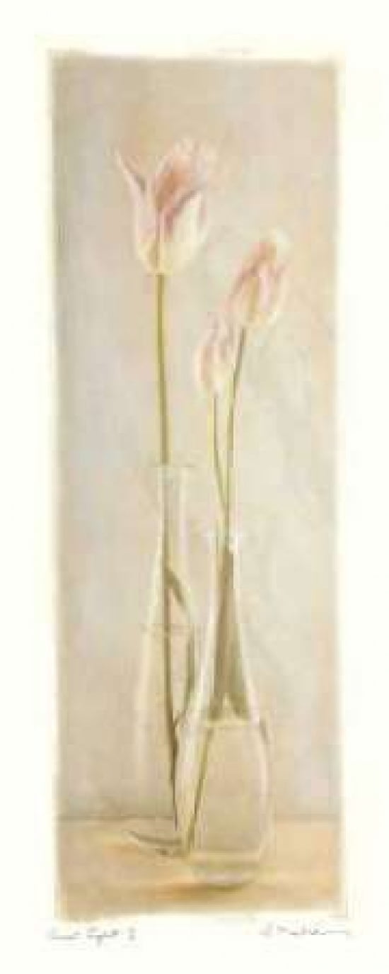 Quiet Light I Canvas Art - Amy Melious (10 x 20)