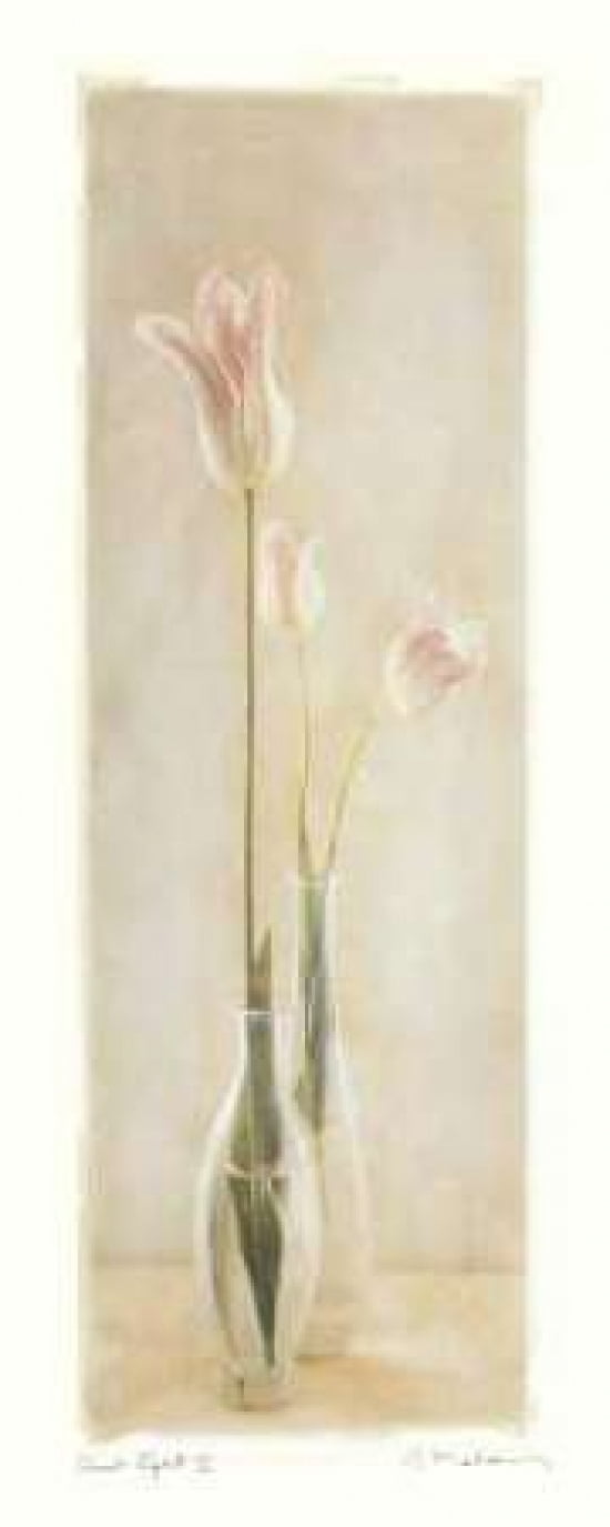 Quiet Light II Canvas Art - Amy Melious (10 x 20)