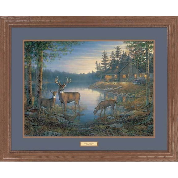 Quiet PlacesDeer