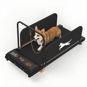 Quiet Portable Puppy Treadmill 2026 - Small Dog Indoor Running Wheel
