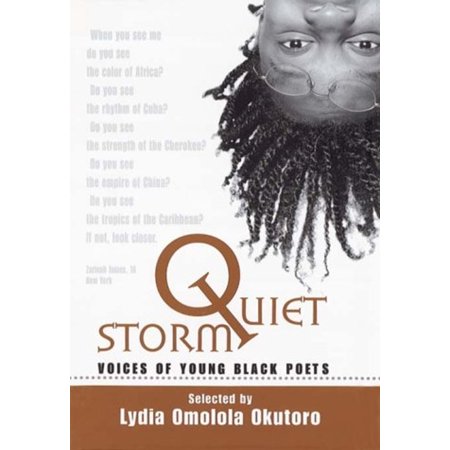 Pre-Owned Quiet Storm (Paperback) 0786813202 9780786813209