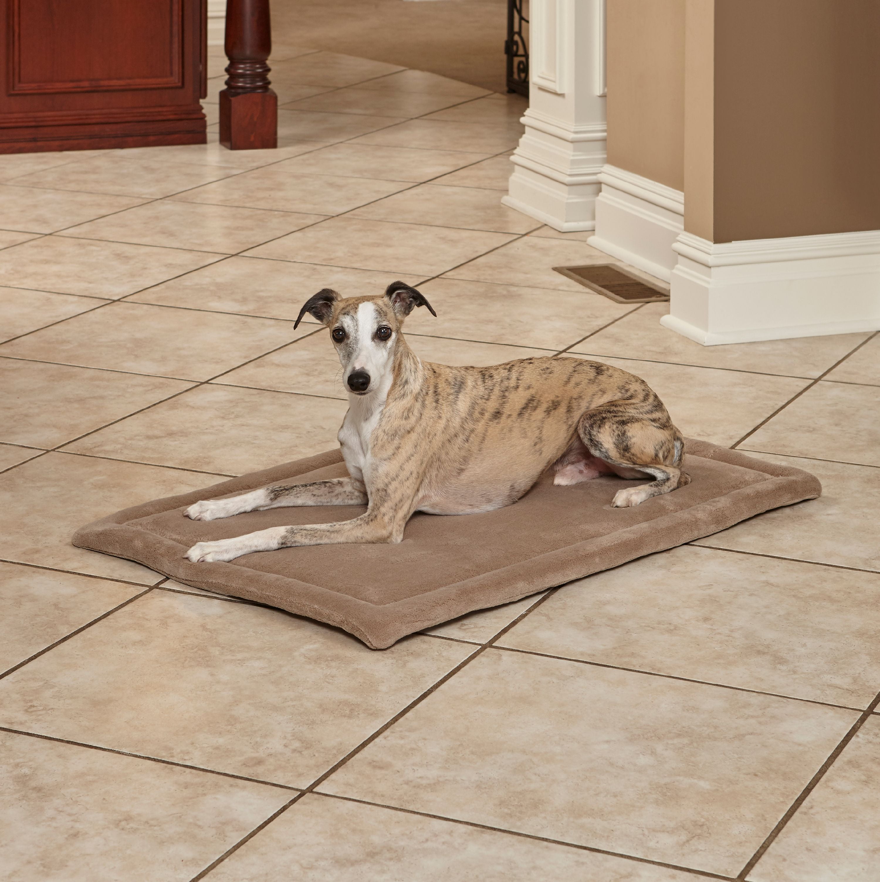 Quiet Time Taupe Micro Terry Pet Bed, 36"