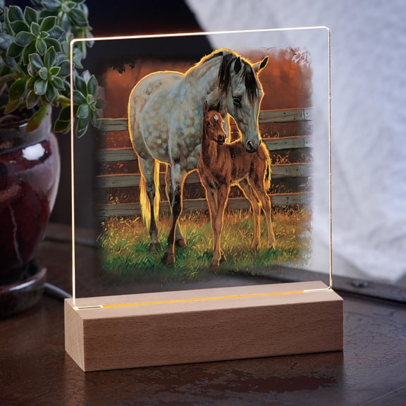 Quiet TimeQuarter Horse