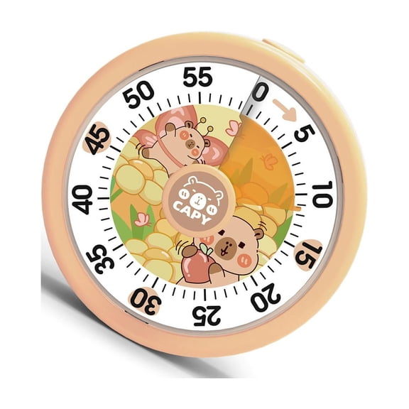 Quiet Visual Timers For Kids Time Management Colorful Rainbows Designs Easy To Use Portable For Classroom Kitchen Study Gym