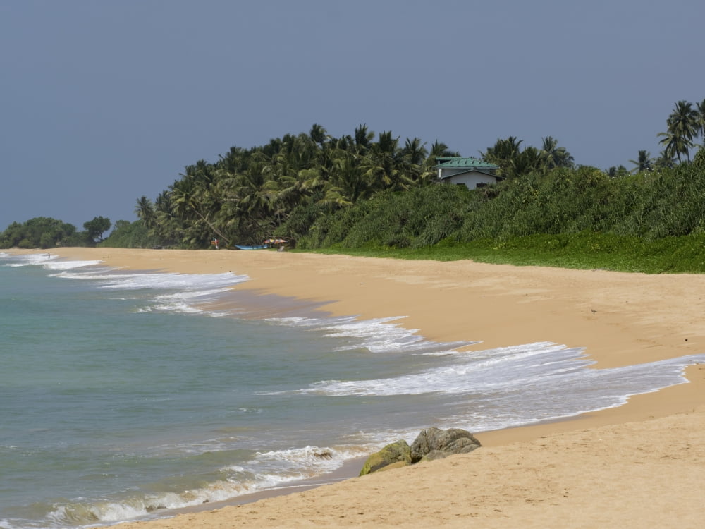 Quiet beach along A2 road Bentota Southern Province Sri Lanka Canvas Art - Panoramic Images (12 x 16)