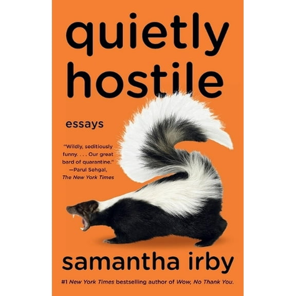 Quietly Hostile : Essays (Paperback)